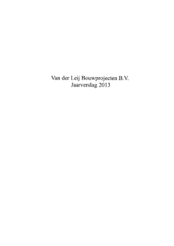 Jaarrekening 2013
