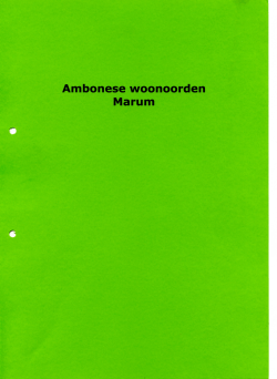 66 Ambonese woonoorden Marum, 1978-1983, 8