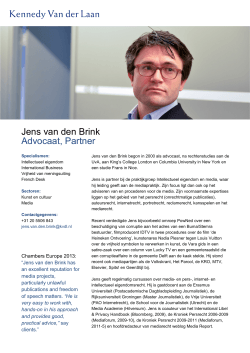 Jens van den Brink Advocaat, Partner
