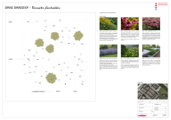 Beplantingsplan Sanne Sanneshof (PDF, 2.5 MB)