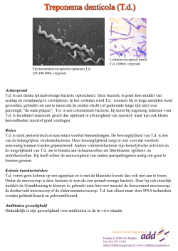 Achtergrond T.d. is een dunne spiraalvormige bacterie (spirocheet
