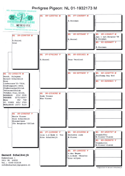 Page 1 Pedigree Pigeon: NL 01