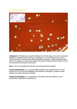 Streptococcus gordonii (S.g.) Achtergrond: De Streptococcus