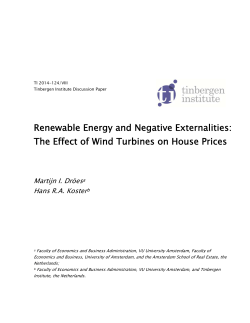 Renewable Energy and Negative Externalities: The