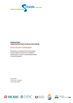 download pdf