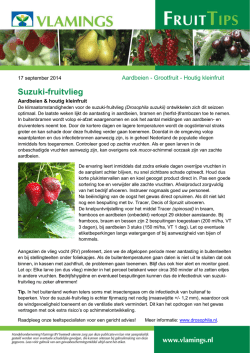 Suzuki-fruitvlieg