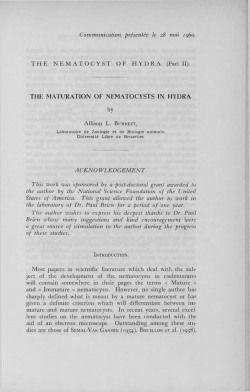 download pdf
