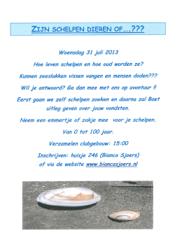Zijn schelpen dieren of - biancasjoers.nl