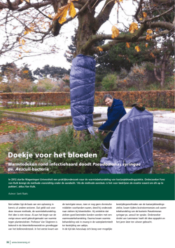 Doekje voor het bloeden