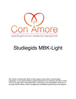 studiegids MBK-light