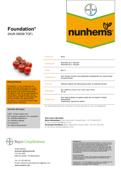 Foundation*