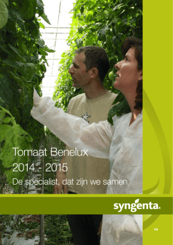 Tomaat Benelux 2014 - 2015