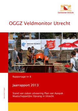 Jaarrapport VM 2013 def