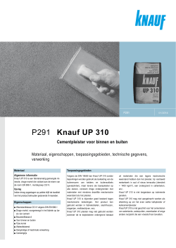 P291 Knauf UP 310