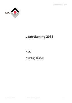 Jaarrekening 2013 KBO Bladel DEFINITIEF - kbo