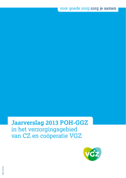 Jaarverslag 2013 POH-GGZ in het