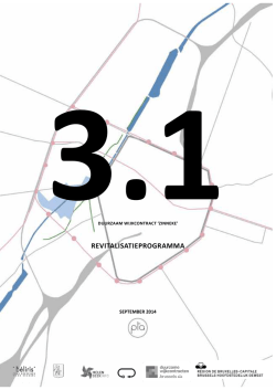DWC ZINNEKE 3.1 REVITALISATIEPROGRAMMA small