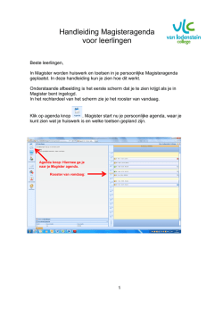 Handleiding agenda Magister