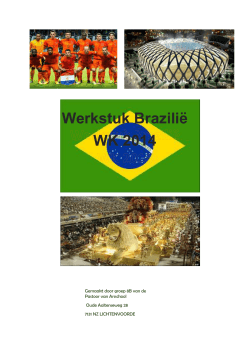 Werkstuk Brazilië WK 2014