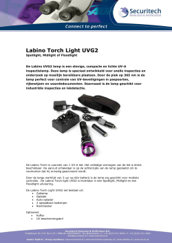 Labino Torch Light UVG2
