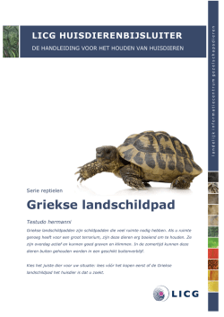 Griekse landschildpad