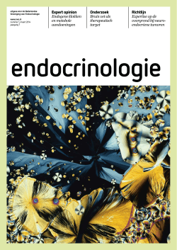 endocrinologie - Cross Media Nederland