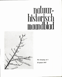 56e Jaargang, no 1 25 januari 1967