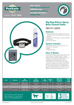 Big Dog Deluxe Spray Bark Control Collar PBC19