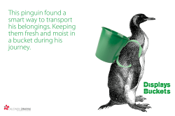 Displays Buckets This pinguin found a smart way
