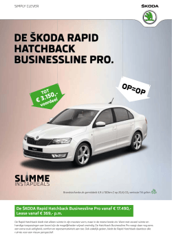 Download leaflet Rapid Hatchback Businessline Pro