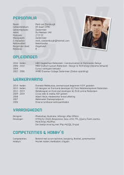 Download CV - Mark van Domburgh