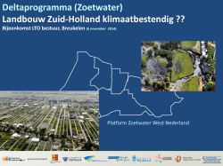 Deltaprogramma (Zoetwater) Landbouw Zuid-Holland