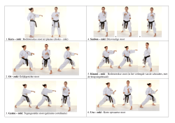 Stoottechnieken - Funakoshi Karate Tongerlo