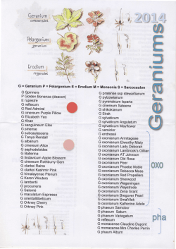 lijst met de namen van Geraniums