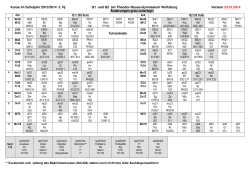 Leistenplan 2. Halbjahr 2013/2014 - Theodor-Heuss