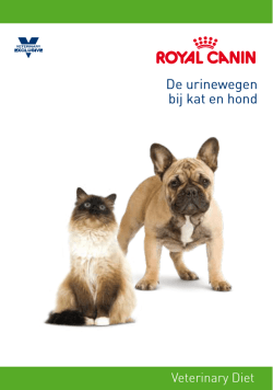 Download de folder