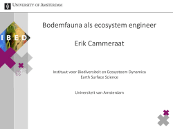 Bodemfauna en hun rol als ecosystem engineers Erik Cammeraat