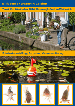 download de tentoonstellingsflyer
