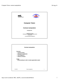 NHL Centre of Expertise Computer Vision