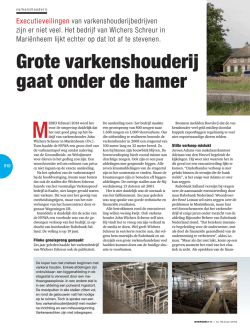 Download de PDF van dit artikel