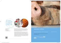 Stalboekje varkens