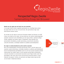 Perspectief Regio Zwolle Samenvatting Essay Jan Brouwer