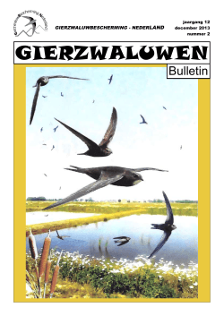 GIERZWALUWEN - Gierzwaluwbescherming Nederland