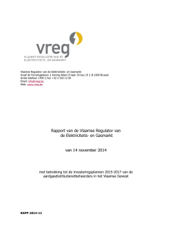 Rapport van de Vlaamse Regulator van de Elektriciteits- en