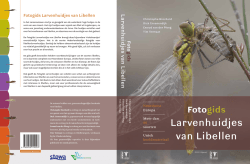 Fotogids Larvenhuidjes van Libellen