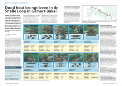 Dood hout brengt leven in de Snelle Loop in Gemert