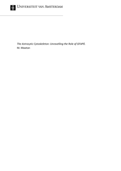 Download de samenvatting (PDF)