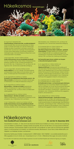diesem Flyer