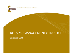 NETSPAR MANAGEMENT STRUCTURE