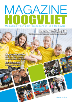 Hoogvliet